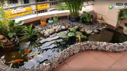 客厅鱼池设计,客厅门前有鱼池好吗