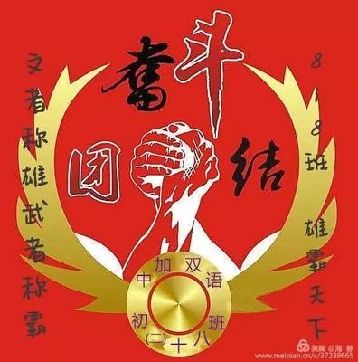 初中班服设计 初中班旗设计图案大全