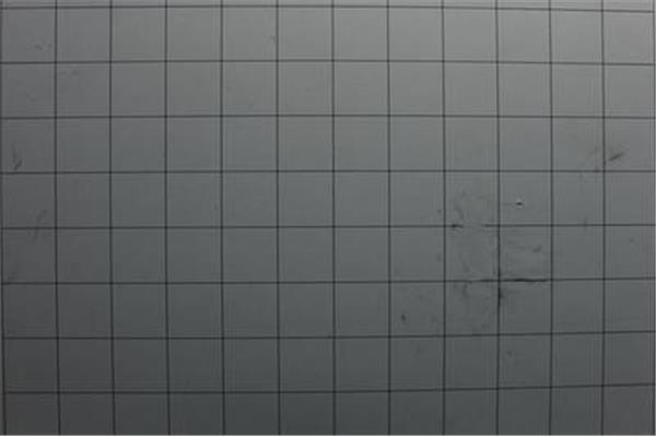 嵘丰印刷厂加班怎么样 利丰高雅印刷厂怎么样