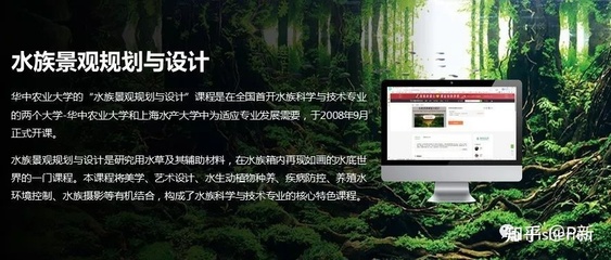 园林景观设计专业找工作?学设计不如学剪辑